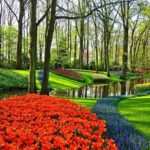 Private Tulip Fields, Windmills and Cheese Tour from Amsterdam - Who Would Enjoy This Tour?