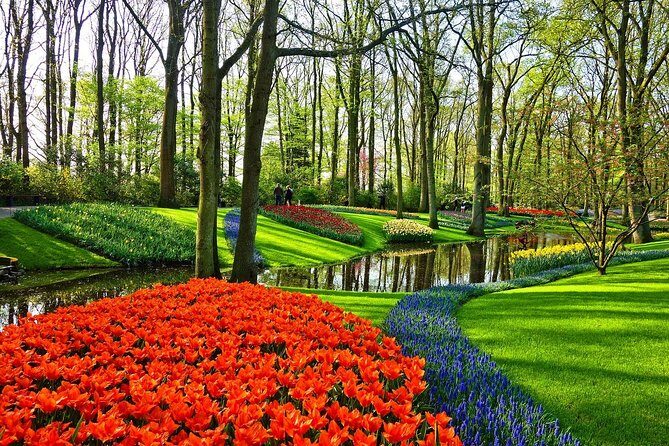 Private Tulip Fields, Windmills and Cheese Tour from Amsterdam - Who Would Enjoy This Tour?