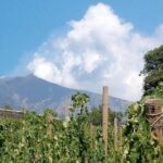 Private visit to the cellars of Etna with wine tasting - Who Should Consider This Tour?