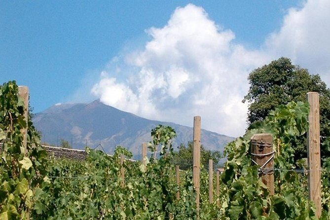 Private visit to the cellars of Etna with wine tasting - Who Should Consider This Tour?