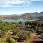 Private White Villages & Ronda Day Tour from Seville - The Practical Details