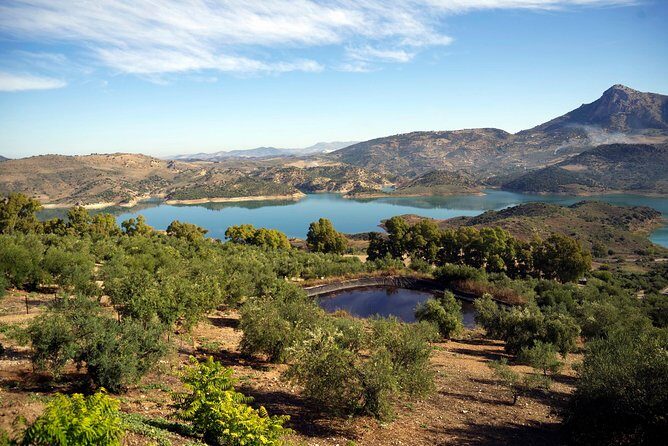 Private White Villages & Ronda Day Tour from Seville - The Practical Details