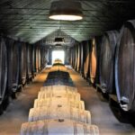 Private Wine Tasting in the Setúbal Wine Region, from Lisbon - Practical Details and Tips
