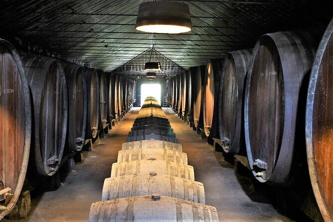 Private Wine Tasting in the Setúbal Wine Region, from Lisbon - Practical Details and Tips