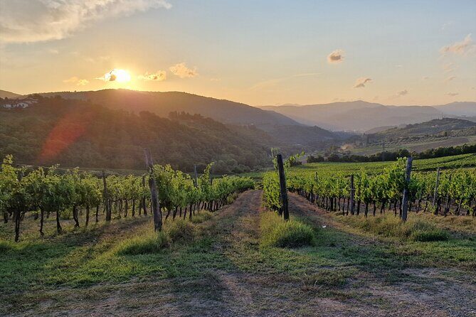 Private Wine Tour best of Chianti Tuscany 6 hours Limo Service - A Deep Dive into the 6-Hour Chianti Experience