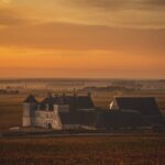 Private wine tour in Côte de Nuits and Côte de Beaune - Tasting and Visits to Local Estates