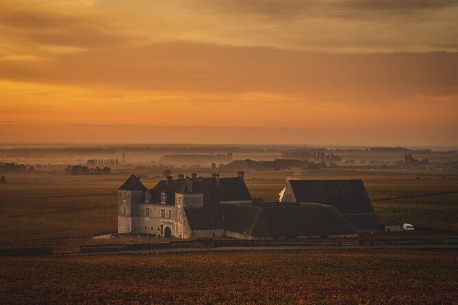 Private wine tour in Côte de Nuits and Côte de Beaune - Tasting and Visits to Local Estates