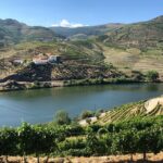 Private Wine Tour in the Douro Valley - Private wine tastings and lunch included - Possible Considerations