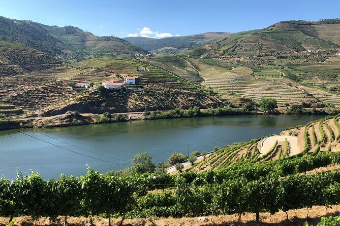 Private Wine Tour in the Douro Valley - Private wine tastings and lunch included - Possible Considerations