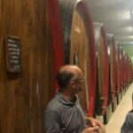 Private Wine Tour: Terraced Vineyards with Alpine view from Milan - The Experience’s Strengths