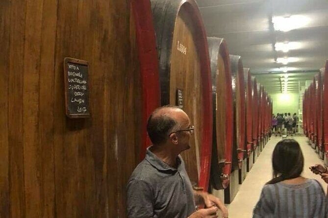 Private Wine Tour: Terraced Vineyards with Alpine view from Milan - The Experience’s Strengths