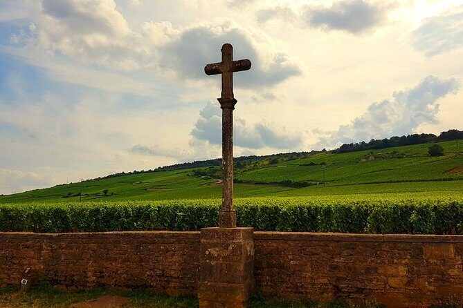Private Wine Tour to Burgundy Region from Paris - Who This Tour Is Perfect For