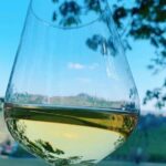 Private Wine Tour with The Whites of Langa Tasting - Who Should Consider This Tour?
