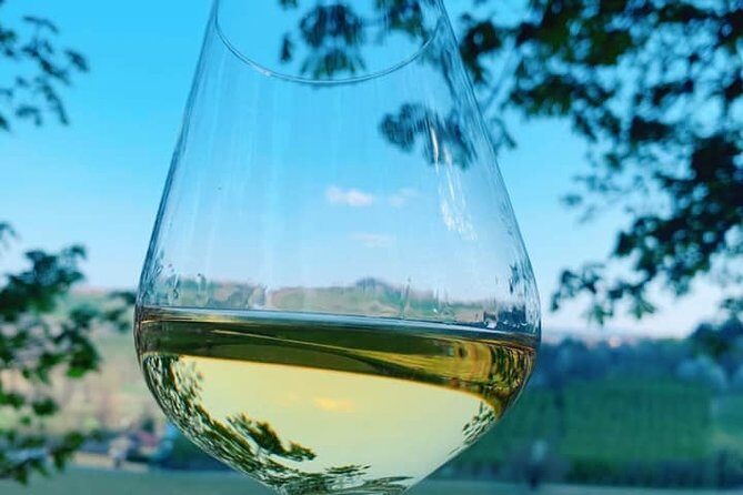 Private Wine Tour with The Whites of Langa Tasting - Who Should Consider This Tour?