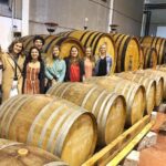 Private Winery Tour near Madrid with Sommelier (6-hour) - Is It Worth the Price?