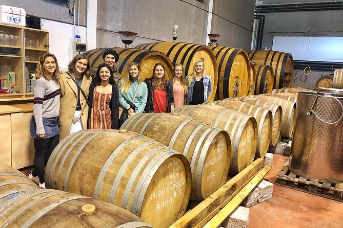Private Winery Tour near Madrid with Sommelier (6-hour) - Is It Worth the Price?