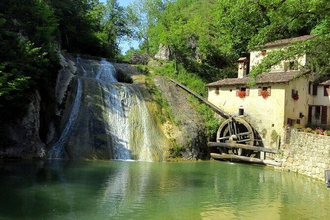 Prosecco Wine Tour. Half-day. From Venice - What the Tour Looks Like: A Deep Dive