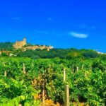 Provence Cru Wine Small-Group Half-Day Tour from Avignon - Authentic Insights from Reviewers