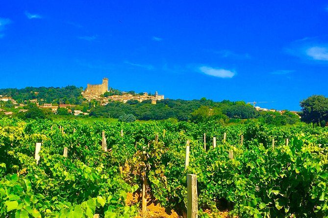 Provence Cru Wine Small-Group Half-Day Tour from Avignon - Authentic Insights from Reviewers