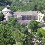 Provence Highlights Full-Day Tour from Avignon - Final Thoughts