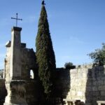 Provence in a Day Trip from Aix - Transport and Group Size