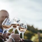 Provence Wine Tour - Private Day Tour from Antibes - What’s Included and What to Consider