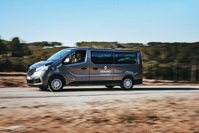 Provence Wine Tour - Small Group Tour from Nice - The Experience: What Travelers Say