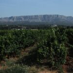 Provence Wineries and Luberon Villages Day Trip from Aix-en-Provence - Exploring the Villages of the Luberon