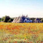 Puglia Full-Day Tour: Bari, Trulli of Alberobello, Castel del Monte and Sassi of Matera - The Value of Guided Tours
