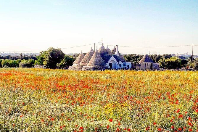 Puglia Full-Day Tour: Bari, Trulli of Alberobello, Castel del Monte and Sassi of Matera - The Value of Guided Tours