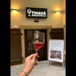 Quick Wine Tasting in Michalská - Practical Details and Tips