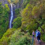 Rabaçal 25 Fontes Levada Walk in Small Groups - Who Should Pick This Tour?