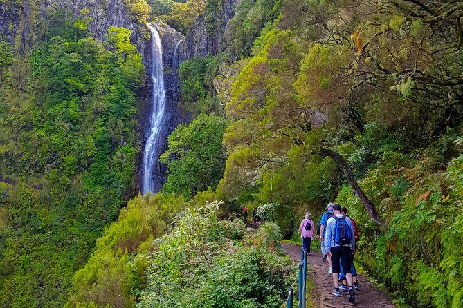 Rabaçal 25 Fontes Levada Walk in Small Groups - Who Should Pick This Tour?