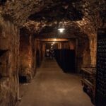 Reims afternoon tour Champagne and family growers - Final Thoughts
