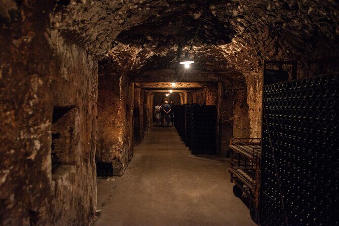 Reims afternoon tour Champagne and family growers - Final Thoughts