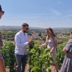 Reims or Epernay: Full day Champagne Mumm, family grower & lunch - The Value of This Tour