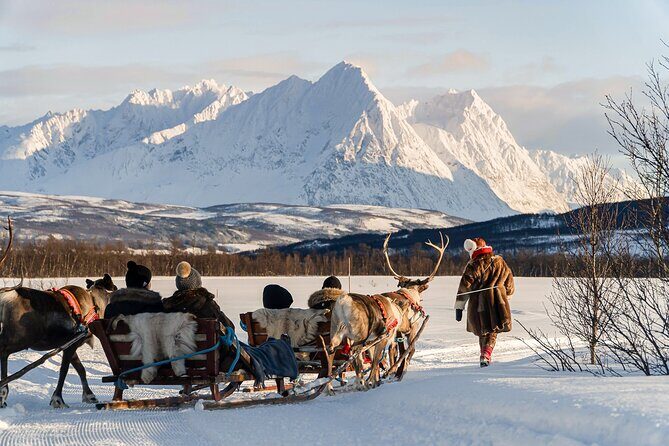 Reindeer Sledding and Feeding with Sami Culture in Tromso. - Authenticity and Experience Value