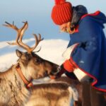 Reindeer Sledding Experience and Sami Culture Tour from Tromso - A Detailed Breakdown of the Experience