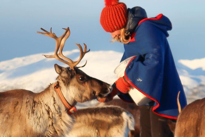 Reindeer Sledding Experience and Sami Culture Tour from Tromso - A Detailed Breakdown of the Experience