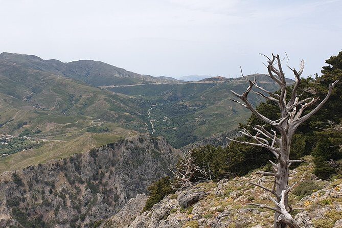 Rethymno Land Rover Safari with Lunch and Drinks - The Lunch and Drinks: A Feast of Crete