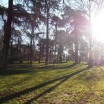 Retiro Park & Prado Museum Private Tour - Who Will Love This Tour?