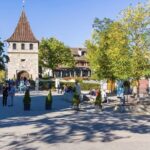 Rhine Falls and Stein am Rhein Half-Day Tour from Zurich - Final Thoughts: Who Is This Tour Best For?
