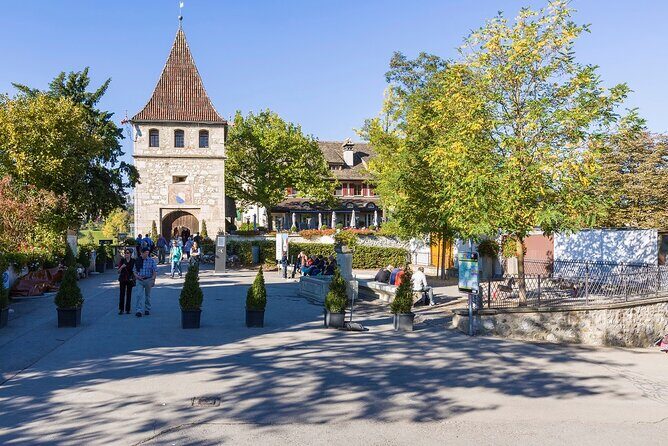 Rhine Falls and Stein am Rhein Half-Day Tour from Zurich - Final Thoughts: Who Is This Tour Best For?