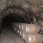 Ribera del Duero Wineries Guided Tour & Wine Tasting from Madrid - Who Will Love This Tour?