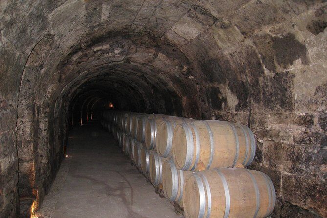 Ribera del Duero Wineries Guided Tour & Wine Tasting from Madrid - Who Will Love This Tour?