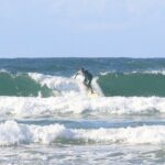 Riding Waves and Making Memories: Private Surf Lesson to Remember - The Experience: What You Can Expect