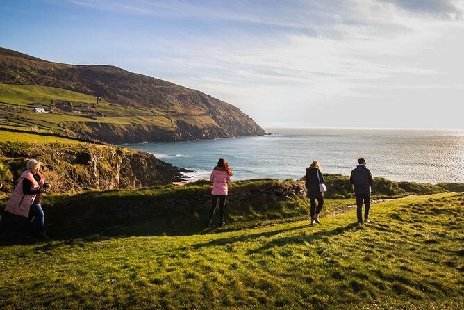 Ring of Kerry Day Tour from Cork: Including Killarney National Park - The Value of This Tour