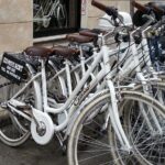 Rome City Bike & E-Bike Daily Rental - Who Should Consider This?