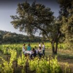 Ronda Private Wine Tour + Free Time in Ronda - Final Thoughts