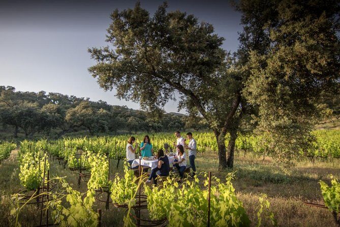 Ronda Private Wine Tour + Free Time in Ronda - Final Thoughts